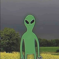 Allien Zip