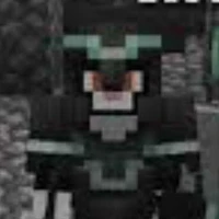 toàn  ( mèo đen )