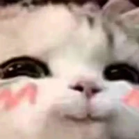 tg thâm nách