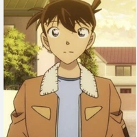 shinichi ( conan)