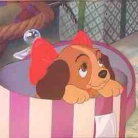 Tác giả khùm khùm