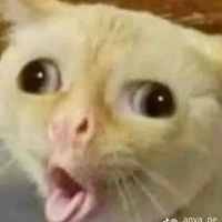 Đội trưởng bóng đá 