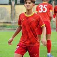 Lê Huỳnh Triệu 