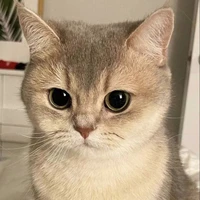 Táo
