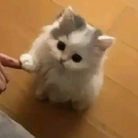 ？？？