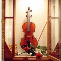 Bloody rose