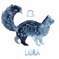 Libra - Thiên Bình