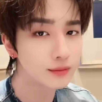 Lý hoành nghị 