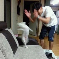 t/g mõ xink nhưng hỗn