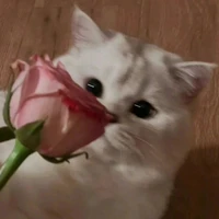 T
Tác giả cute hột me