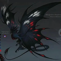 dark win