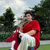 lê quang hùng/quang hùng master d(27t)