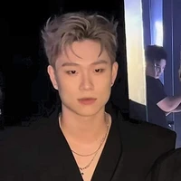 dương domic 