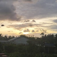 t/g mê All Hàng