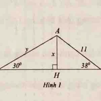 All(trừ người cần trừ)
