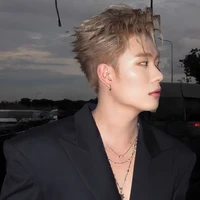 Đăng Dương ( Dương Domic )