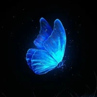 Hệ Thống Công Lược 404