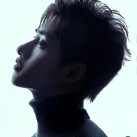 Hoàng Hùng - Gemini