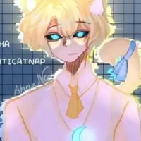 hiha anti catnap