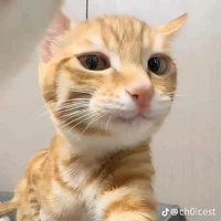 Tác giả
