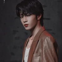 Lưu Diệu Văn/gã/