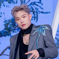 Trần Đăng Dương (Dương Domic)