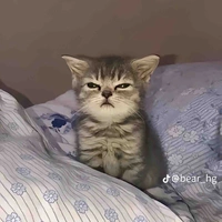 Tác giả bị overthingking