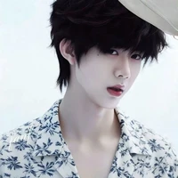 Trần Dịch Hằng