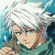 shiba(hitsugaya )toshiro