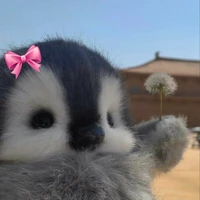 Seishuuuu🍉