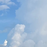 Nhân vật phụ