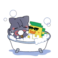 NVP Nữ