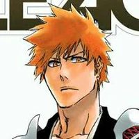 kurosaki ichigo ( của canon)