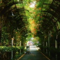 Trường Venetus ( confessions )