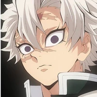 Shinazugawa Sanemi