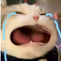 tác giả love licheang