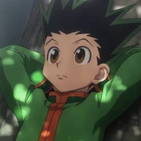 Gon Freecss