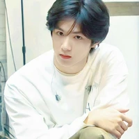 Lưu diệu văn/ líu/ lưu tổng/ anh