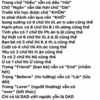 NVP nữ 