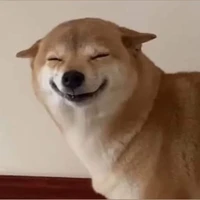 Tác giả💢