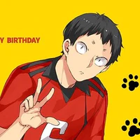 Fukunaga Shohei - Nekoma