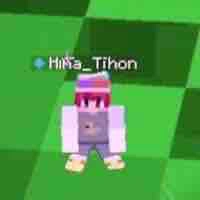 Hiha tí hon 