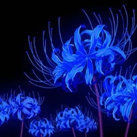 all(có thể trừ 1 số người)