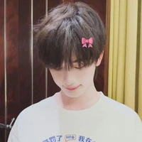 Đinh Trình Hâm (em)