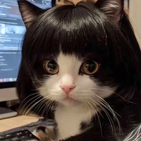 Nguyễn thị mèo:)