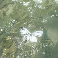 ♧•金特鲁克•♤(Trúc)