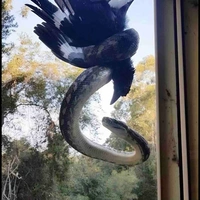 Thế giới của tôi 1m68,54kg và là Nam