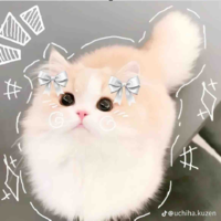 tác giả ◍•ᴗ•◍