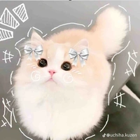 tác giả ◍•ᴗ•◍