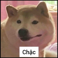Em tó pé nhỏa